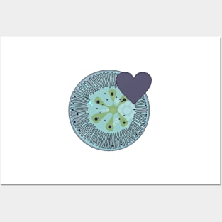 Diatom - Lindavia (icy blue) Posters and Art